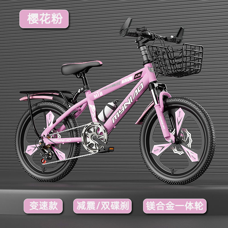 18-24 Inch Adult Mountain Bike - Cycling Low Gear ulasan dan harga