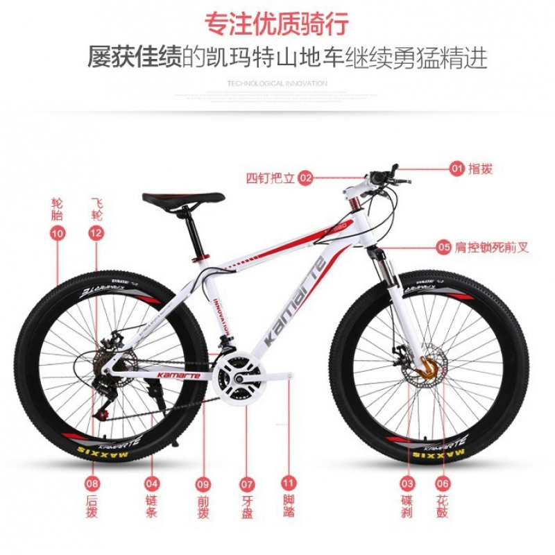 26-inch Youth & Adult Mountain - Cycling Low Gear ulasan dan harga